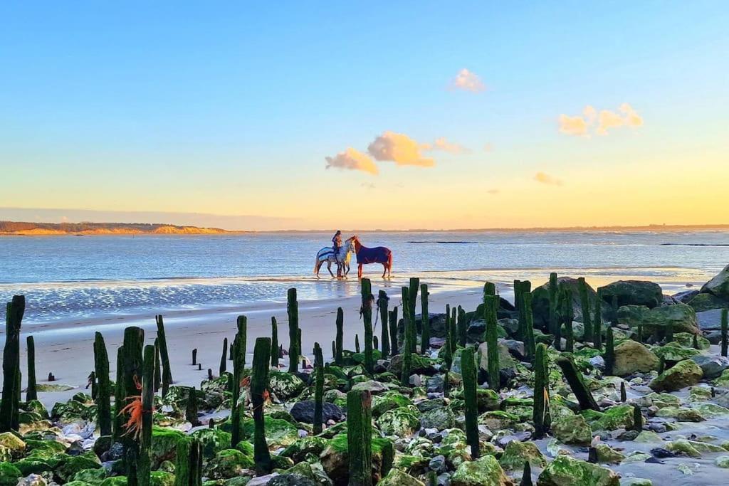 Petit Prince Berck Dış mekan fotoğraf