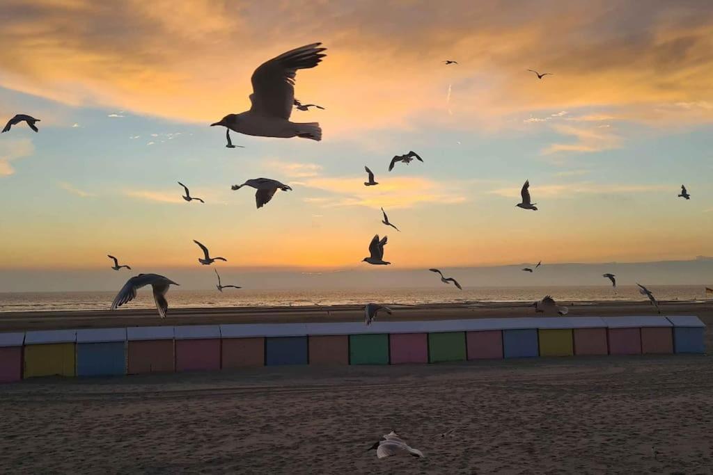 Petit Prince Berck Dış mekan fotoğraf
